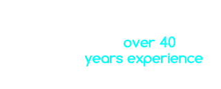 executive management industry experience